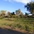  Terreno (Parcela) en venta en Junin, San Luis, Junin, San Luis