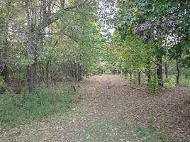  Terreno (Parcela) en venta en San Lorenzo, Santa Fe, San Lorenzo