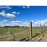  Land for sale in Merlo, Buenos Aires, Merlo