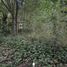  Land for sale in Exaltacion De La Cruz, Buenos Aires, Exaltacion De La Cruz