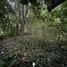  Land for sale in Exaltacion De La Cruz, Buenos Aires, Exaltacion De La Cruz