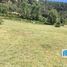  Land for sale in Lacar, Neuquen, Lacar