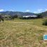  Land for sale in Lacar, Neuquen, Lacar