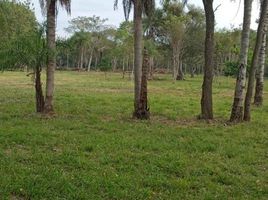  Terrain for sale in Capital, Corrientes, Capital