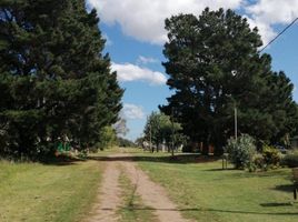  Grundstück zu verkaufen in La Costa, Buenos Aires, La Costa