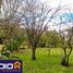  Land for sale in San Vicente, Buenos Aires, San Vicente