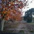  Land for sale in Lujan Buenos Aires, Lujan