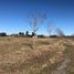  Land for sale in Lujan Buenos Aires, Lujan