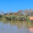 Terrain à vendre à Tigre, Buenos Aires, Tigre