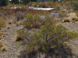  Terrain for sale in Cushamen, Chubut, Cushamen