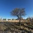  Land for sale in Punilla, Cordoba, Punilla