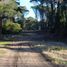  Land for sale in Pinamar, Buenos Aires, Pinamar