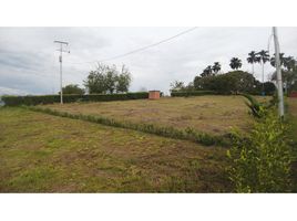  Terreno (Parcela) en venta en Caldas, Manizales, Caldas