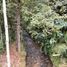 Terrain à vendre à Medellin, Antioquia, Medellin, Antioquia