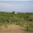  Land for sale in Cartagena, Bolivar, Cartagena