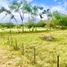  Land for sale in Palmira, Valle Del Cauca, Palmira