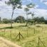  Land for sale in Palmira, Valle Del Cauca, Palmira