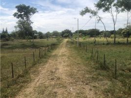  Land for sale in Palmira, Valle Del Cauca, Palmira