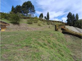  Grundstück zu verkaufen in Rionegro, Antioquia, Rionegro, Antioquia