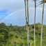 3 Bedroom Villa for rent in Salento, Quindio, Salento