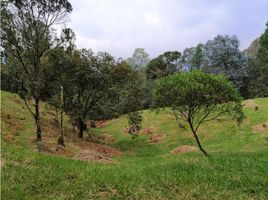  Land for sale in Envigado, Antioquia, Envigado