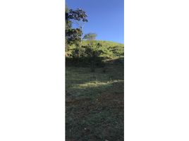  Terreno (Parcela) en venta en Guarne, Antioquia, Guarne, Antioquia