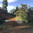  Terreno (Parcela) en venta en Guarne, Antioquia, Guarne, Antioquia