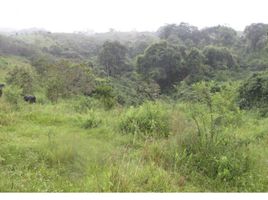  Land for sale in Barbosa, Antioquia, Barbosa