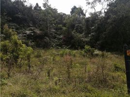  Terreno (Parcela) en venta en San Vicente, Antioquia, San Vicente