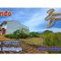  Land for sale in Barichara, Santander, Barichara