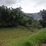  Grundstück zu verkaufen in Santa Rosa De Cabal, Risaralda, Santa Rosa De Cabal, Risaralda