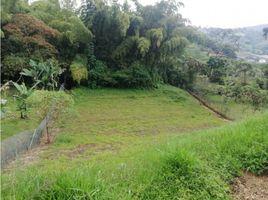  Grundstück zu verkaufen in Santa Rosa De Cabal, Risaralda, Santa Rosa De Cabal, Risaralda