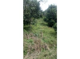  Land for sale in Risaralda, Caldas, Risaralda