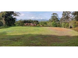  Land for sale in La Ceja, Antioquia, La Ceja