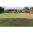  Land for sale in La Ceja, Antioquia, La Ceja