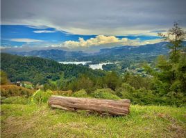  Terreno (Parcela) en venta en Antioquia, Retiro, Antioquia