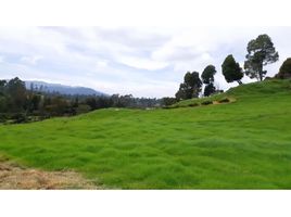  Grundstück zu verkaufen in Retiro, Antioquia, Retiro