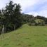  Land for sale in Retiro, Antioquia, Retiro