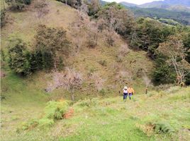  Terreno (Parcela) en venta en Retiro, Antioquia, Retiro