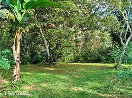  Terrain for sale in David, Chiriqui, Las Lomas, David