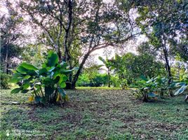  Grundstück zu verkaufen in David, Chiriqui, Las Lomas