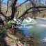  Land for sale in Cushamen, Chubut, Cushamen