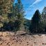  Land for sale in Lacar, Neuquen, Lacar