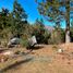  Land for sale in Neuquen, Lacar, Neuquen