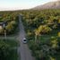  Land for sale in Junin, San Luis, Junin, San Luis