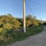  Land for sale in Junin, San Luis, Junin, San Luis