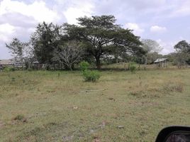 在Campeche出售的 土地, Carmen, Campeche