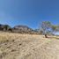  Land for sale in Temamatla, Mexico, Temamatla