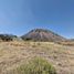  Land for sale in Temamatla, Mexico, Temamatla