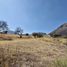  Land for sale in Temamatla, Mexico, Temamatla